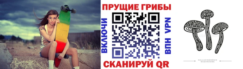 Галлюциногенные грибы GOLDEN TEACHER  Купить  Елец 